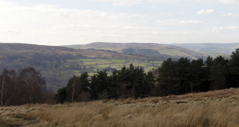 Offerton Moor Offerton Moor